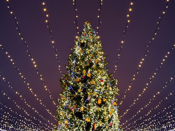 Partner Event: Roswell Park's Tree of Hope