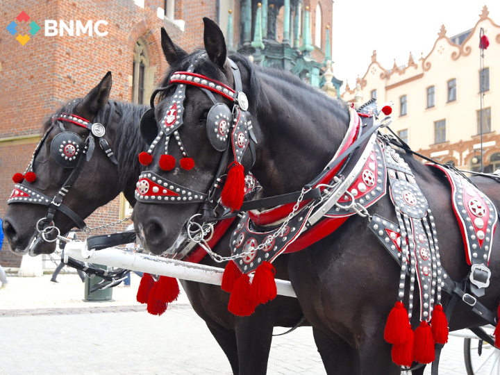 Save the Date: Horse & Carriage Holiday Celebration